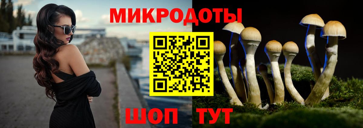 Тамбов  Галлюциногенные грибы ЛСД  Вход с VPN  Псилоцибиновые грибы Magic Shrooms 