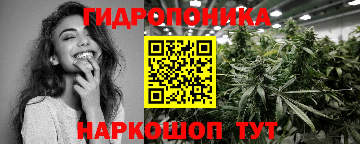 Бошки марихуана конопля Тамбов